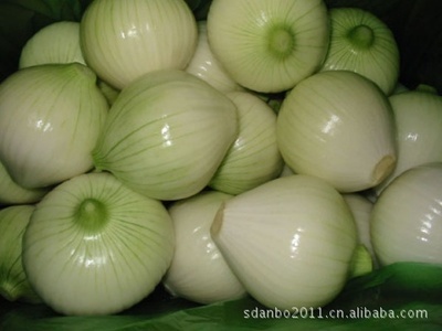 渤海農(nóng)產(chǎn)品 專業(yè)供應(yīng)新鮮美味營養(yǎng)黃皮洋蔥