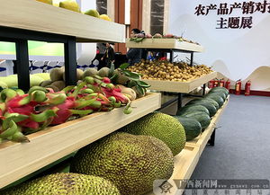 2018全國農產品產銷對接行廣西站活動舉行，食用油產業迎來新機遇