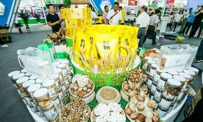 對接長三角市場！阜陽組團參加上海農交會，食用油產品受關注